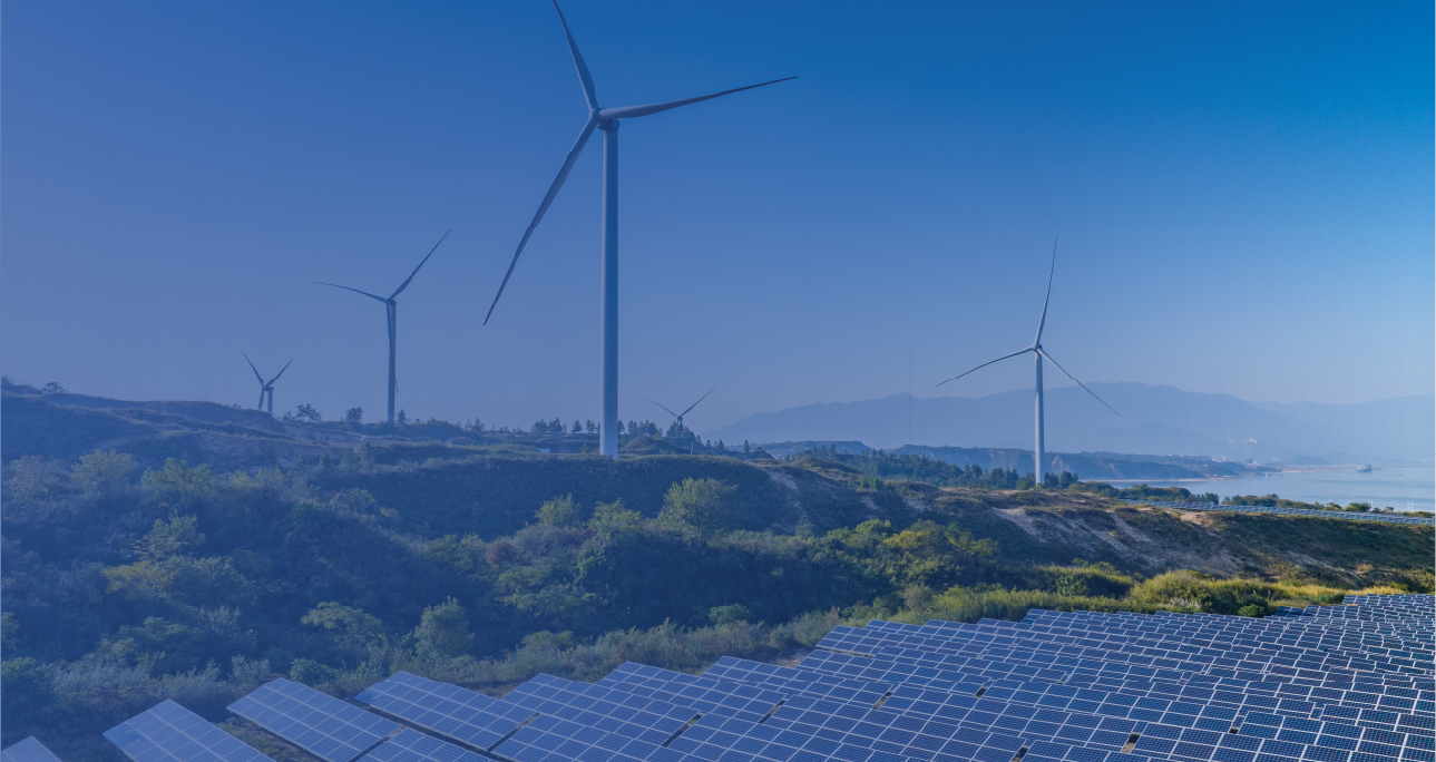 Want to learn more about navigating India's renewable energy landscape